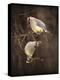 Peek a Boo Cedar Waxwings-Jai Johnson-Premier Image Canvas