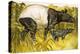 Peeps at Nature: The Tapir-Arthur Oxenham-Premier Image Canvas