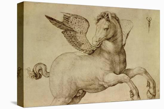 Pegasus-Jacopo De Barbari-Premier Image Canvas