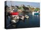 Peggy's Cove, Nova Scotia, Canada, North America-Michael DeFreitas-Premier Image Canvas