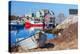 Peggy's Cove Nova Scotia Coast-null-Stretched Canvas