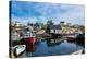 Peggy's Cove NovaScotia Canada-null-Stretched Canvas