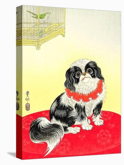 Pekingese Dog and Bush Warbler-Koson Ohara-Premier Image Canvas