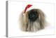 Pekingese in Christmas Hat-null-Premier Image Canvas