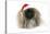 Pekingese in Christmas Hat-null-Premier Image Canvas