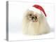 Pekingese in Christmas Hat-null-Premier Image Canvas