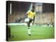 Pele-Art Rickerby-Premier Image Canvas