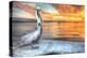 Pelican and Fire Sky-Robert Goldwitz-Premier Image Canvas