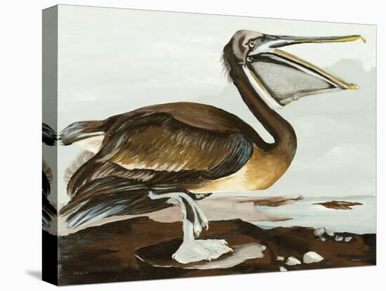 Pelican by the Bay-Stellar Design Studio-Stretched Canvas