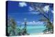 Pelican Cay-Larry Malvin-Premier Image Canvas