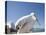 Pelican, Chora, Mykonos, Cyclades, Greek Islands, Greece, Europe-Angelo Cavalli-Premier Image Canvas