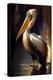 Pelican in the water-Vivienne Dupont-Stretched Canvas