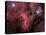 Pelican Nebula-Stocktrek Images-Premier Image Canvas