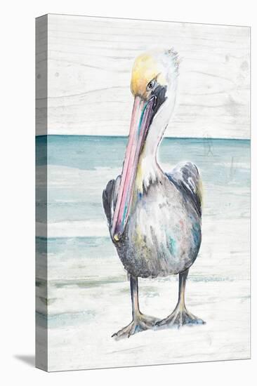 Pelican On The Shore I-Patricia Pinto-Stretched Canvas