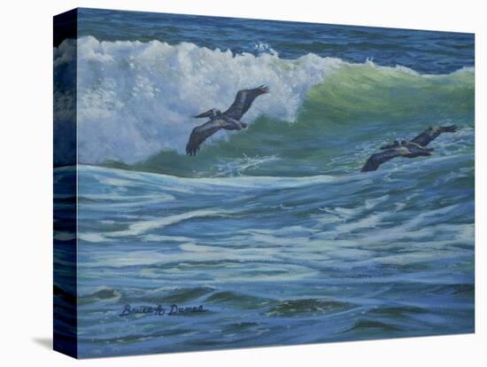 Pelican Skimmers-Bruce Dumas-Premier Image Canvas