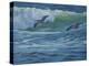 Pelican Skimmers-Bruce Dumas-Premier Image Canvas