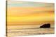 Pelican Sunrise-Chris Moyer-Premier Image Canvas