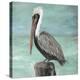 Pelican Way I-Julie DeRice-Stretched Canvas