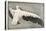 Pelican with Outspread Wings-Walther Klemm-Premier Image Canvas