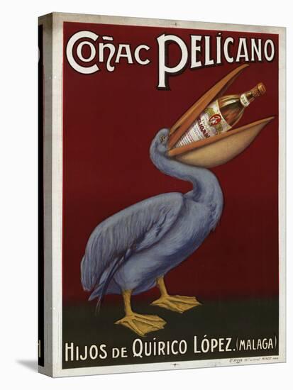 Pelicano-null-Premier Image Canvas