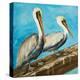Pelicans on Post II-Julie DeRice-Stretched Canvas