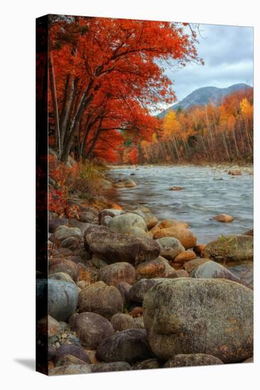 Pemigewasset Riverside in Autumn-Vincent James-Premier Image Canvas