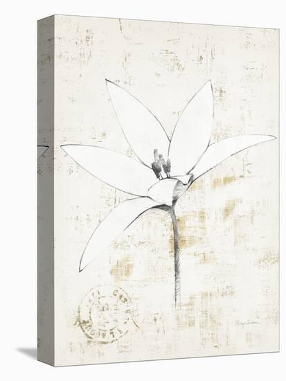 Pencil Floral XII Gold-Avery Tillmon-Stretched Canvas