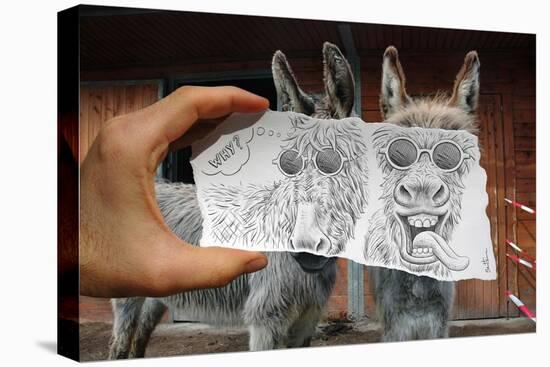 Pencil Vs Camera 12 - Funny Donkey-Ben Heine-Premier Image Canvas