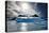 Penguin Island-Howard Ruby-Premier Image Canvas