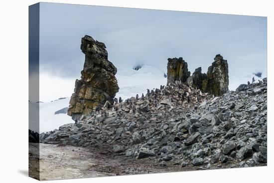 Penguins below dramatic rock formations, Half Moon Bay, South Sheltand Islands, Antarctica, Polar R-Michael Runkel-Premier Image Canvas
