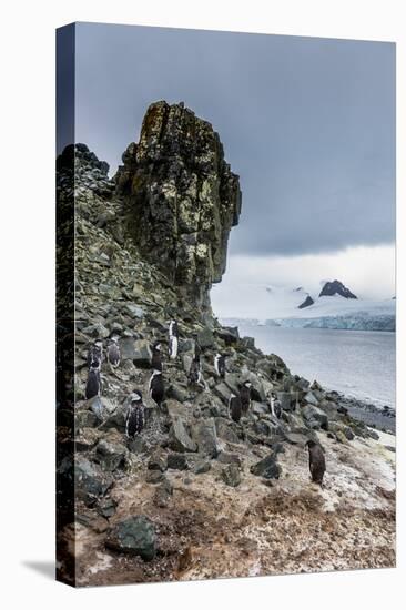 Penguins below dramatic rock formations, Half Moon Bay, South Sheltand islands, Antarctica-Michael Runkel-Premier Image Canvas