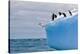 Penguins Off the Edge-Howard Ruby-Premier Image Canvas