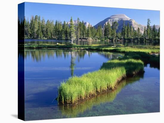 Peninsula, Margo Lake in Ashley National Forest, High Uintas Wilderness, Utah, USA-Scott T. Smith-Premier Image Canvas