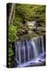 Pennsylvania, Benton, Ricketts Glen SP. Delaware Falls Cascade-Jay O'brien-Premier Image Canvas