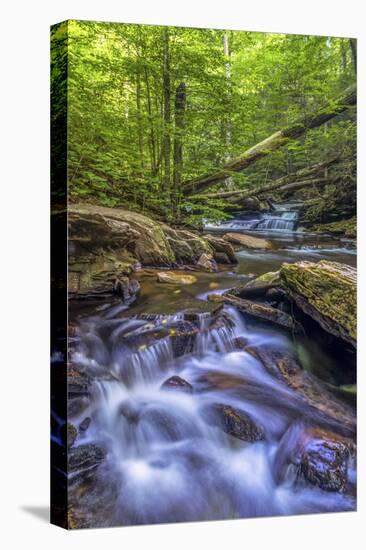 Pennsylvania, Benton, Ricketts Glen State Park. Kitchen Creek Cascade-Jay O'brien-Premier Image Canvas