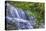 Pennsylvania, Benton, Ricketts Glen State Park. Mohawk Falls Cascade-Jay O'brien-Premier Image Canvas