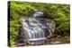 Pennsylvania, Benton, Ricketts Glen State Park. Mohican Falls Cascade-Jay O'brien-Premier Image Canvas