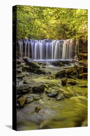 Pennsylvania, Benton, Ricketts Glen State Park. Oneida Falls Cascade-Jay O'brien-Premier Image Canvas