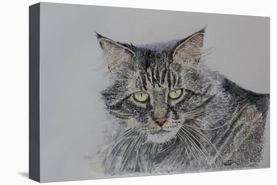 Pennsylvania Cat, 2009-Anthony Butera-Premier Image Canvas