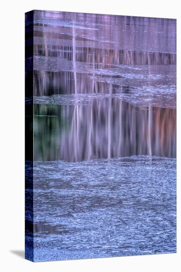 Pennsylvania, Delaware Water Gap NRA. Tree Reflection on Icy Lake-Jay O'brien-Premier Image Canvas