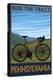 Pennsylvania - Mountain Bike Scene-Lantern Press-Stretched Canvas