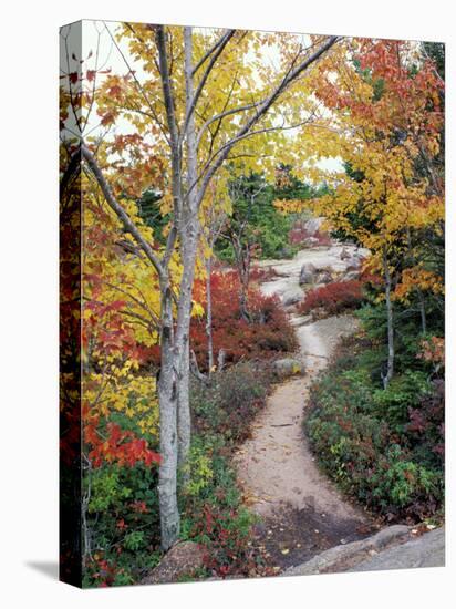 Penobscot Mountain Hiking Trails in Fall, Maine, USA-Jerry & Marcy Monkman-Premier Image Canvas