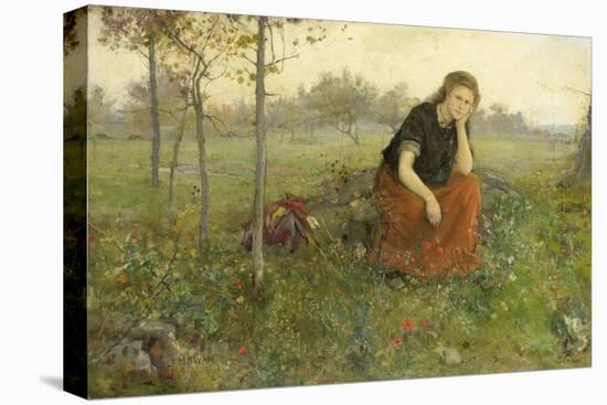 Pensive Girl in Meadow-John Macallan Swan-Stretched Canvas