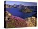 Penstemon Blooms on Cliff Overlooking Wizard Island-Steve Terrill-Premier Image Canvas
