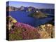 Penstemon Blooms on Cliff Overlooking Wizard Island-Steve Terrill-Premier Image Canvas