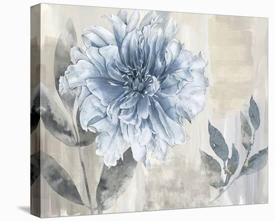 Peonia I-Tania Bello-Stretched Canvas