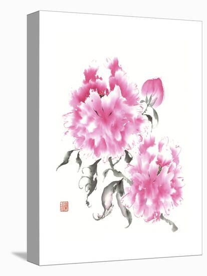 Peonie Blossoms I-Nan Rae-Stretched Canvas