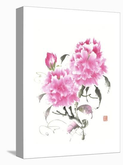 Peonie Blossoms II-Nan Rae-Stretched Canvas