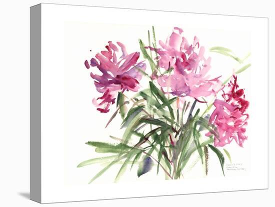 Peonies, 2004-Claudia Hutchins-Puechavy-Premier Image Canvas