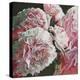 Peonies, 2010,-Helen White-Premier Image Canvas